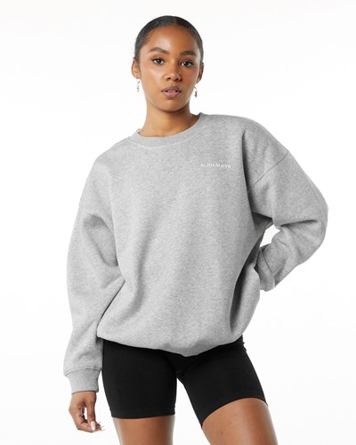 Alphalete Brushed Fleece Crewneck Swetry Szare | 56194-EGFX