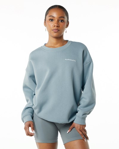 Alphalete Brushed Fleece Crewneck Swetry Niebieskie | 62378-ERCD