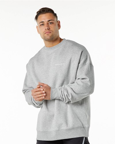 Alphalete Brushed Fleece Crewneck Swetry Szare | 71548-PAHY