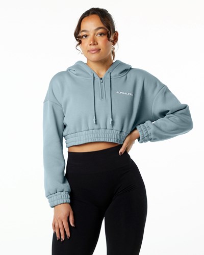 Alphalete Brushed Fleece Half-Zip Crop Hoodie Niebieskie | 73421-PCJZ