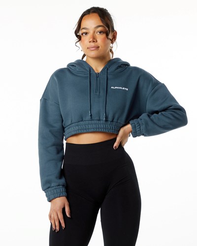 Alphalete Brushed Fleece Half-Zip Crop Hoodie Niebieskie | 80324-ZXKV