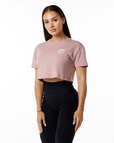 Alphalete Fitted Performance Krótkie Sleeve Crop Mauve | 50879-KSCN