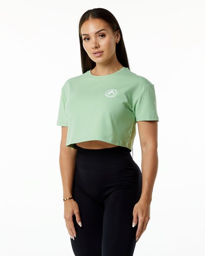 Alphalete Fitted Performance Krótkie Sleeve Crop Pistachio | 52976-OTBY