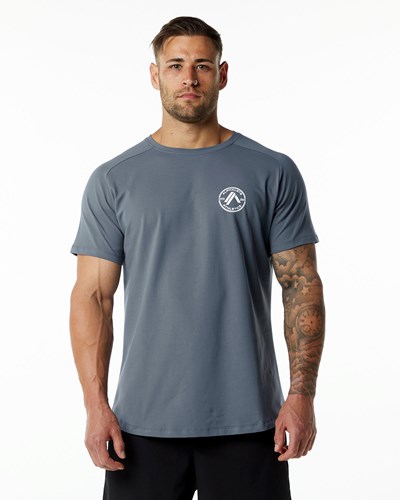 Alphalete Fitted Performance Krótkie Sleeve Carbon | 79081-YUWO