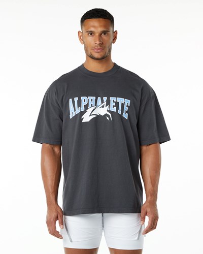 Alphalete Heavyweight Oversized Tee Niebieskie | 94321-TQSP