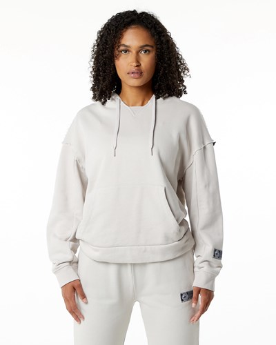 Alphalete Heavyweight Washed Terry Hoodie Moonstone | 95431-JCSD