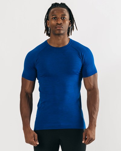 Alphalete High Performance Seamless Krótkie Sleeve Tee Niebieskie | 14693-BIRL