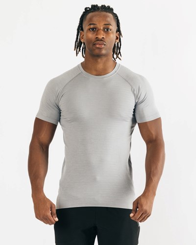 Alphalete High Performance Seamless Krótkie Sleeve Tee Szare | 83924-NOVQ