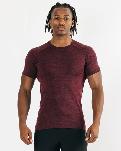 Alphalete High Performance Seamless Krótkie Sleeve Tee Czarne | 96308-SVGW