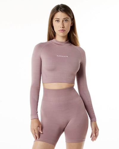 Alphalete High Performance Seamless Long Sleeve Tee Mauve | 03648-TXBC