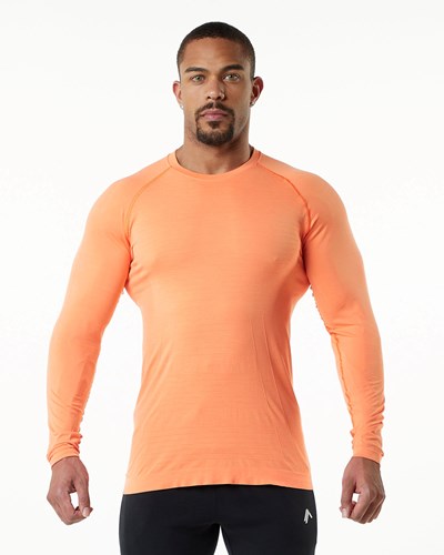 Alphalete High Performance Seamless Long Sleeve Tee Faded Day Tripper | 47150-ECBA