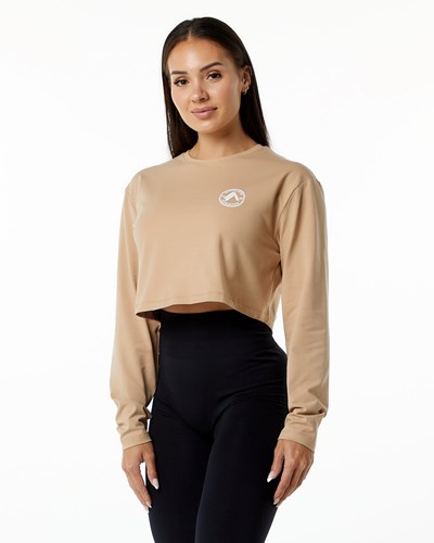 Alphalete Oversized Performance Long Sleeve Crop Taupe | 06978-BHNU