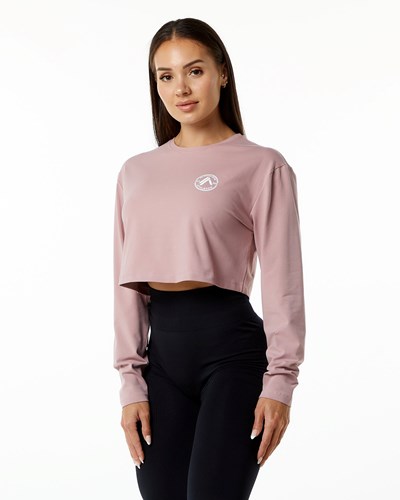 Alphalete Oversized Performance Long Sleeve Crop Mauve | 28317-QAUC