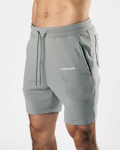 Alphalete Relaxed All-Purpose 8" Bawełniane Krótkie Szare | 59847-PXZL