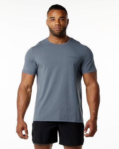 Alphalete Relaxed Fit Tee Carbon | 81374-YJBU