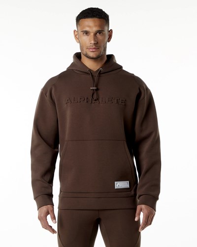 Alphalete Relaxed Interlock Knit Hoodie Brązowe | 30421-QSRH