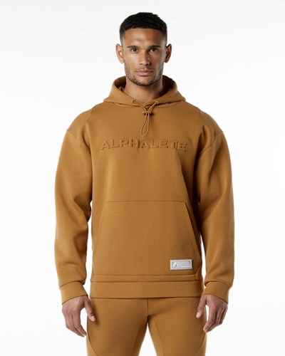 Alphalete Relaxed Interlock Knit Hoodie Almond | 37460-UCMO