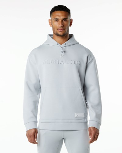 Alphalete Relaxed Interlock Knit Hoodie Szare | 59146-NFUP