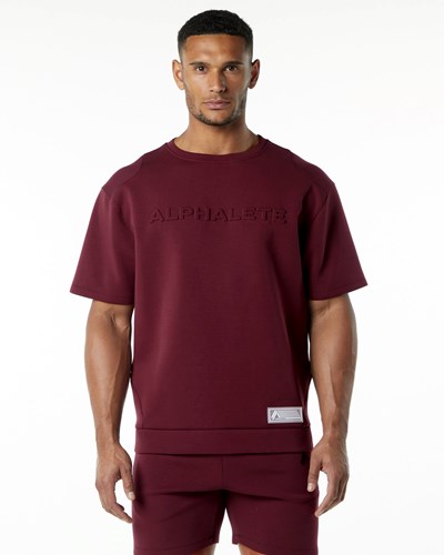 Alphalete Relaxed Interlock Knit Pullover Bordowe | 26801-WDIZ