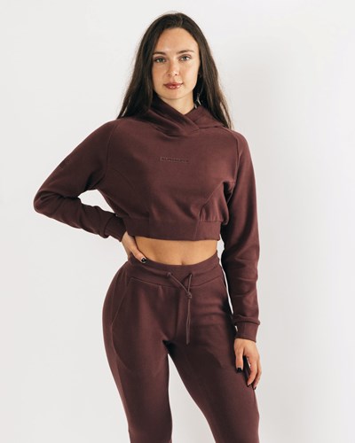 Alphalete Relaxed Single-Brushed Pullover Hoodie Mahogany | 54982-PSTC