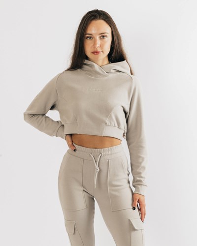 Alphalete Relaxed Single-Brushed Pullover Hoodie String | 58107-LUIJ