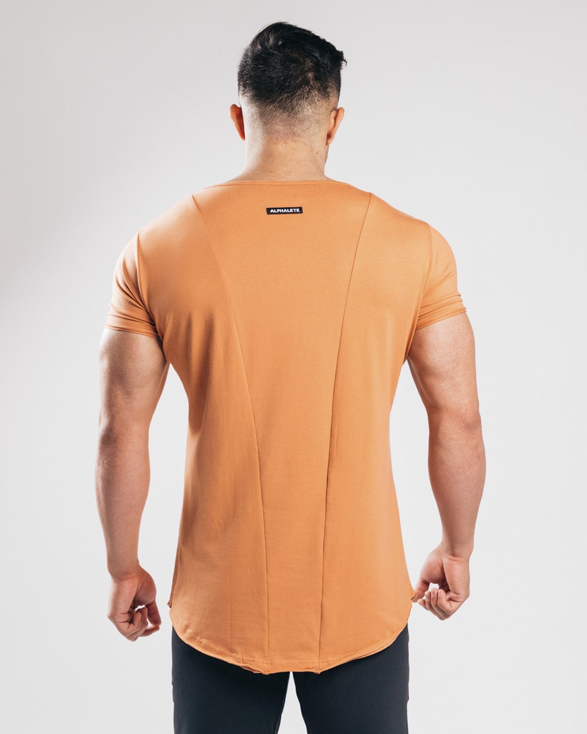 Alphalete Fitted Krótkie Sleeve Clay | 84629-BEFD