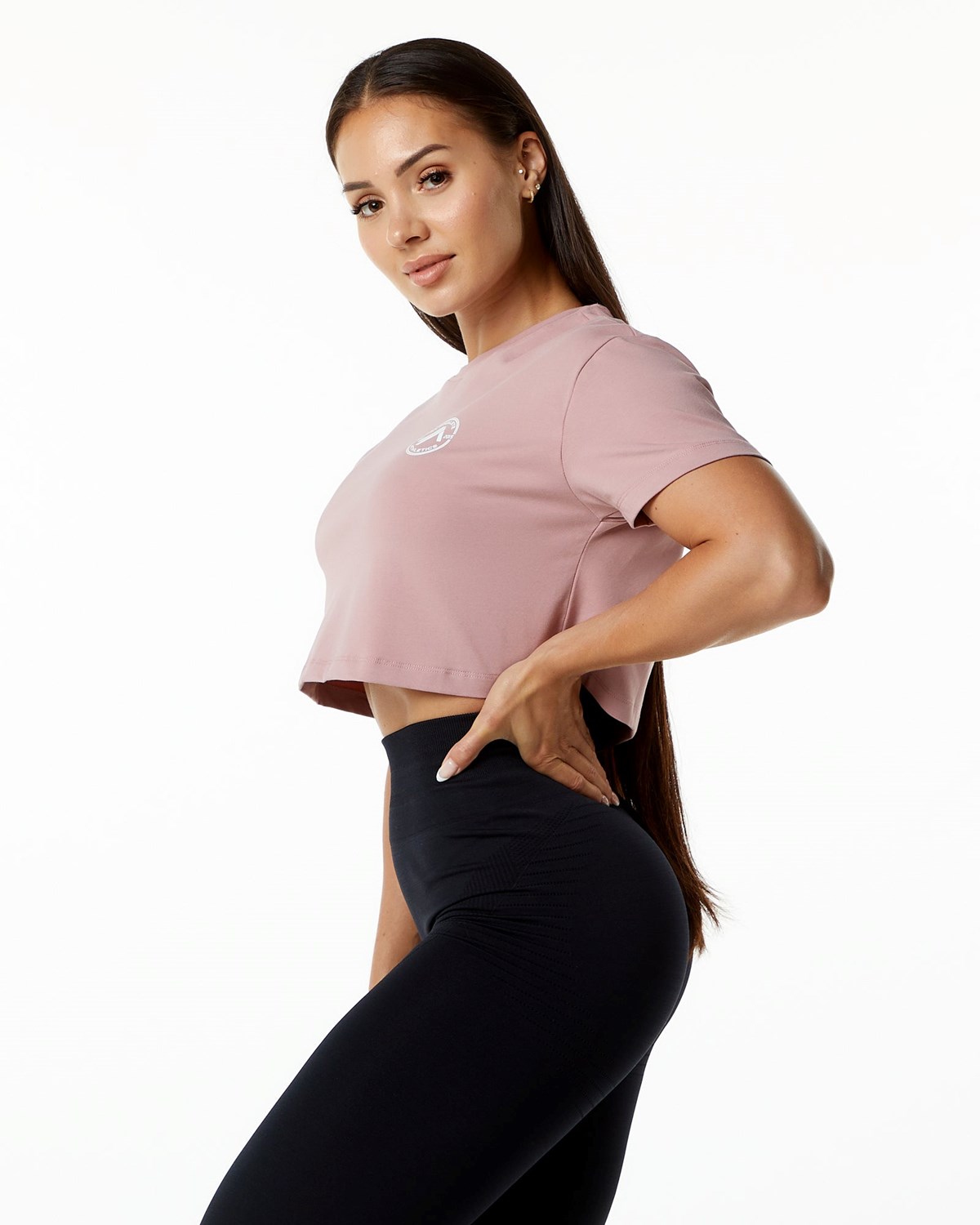 Alphalete Fitted Performance Krótkie Sleeve Crop Mauve | 50879-KSCN