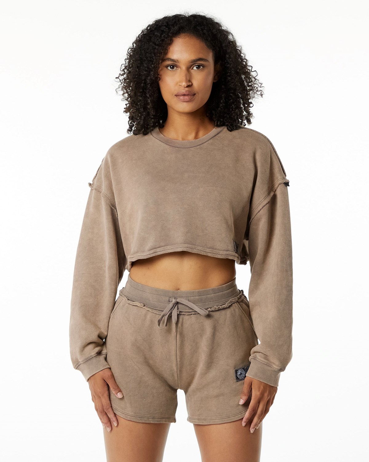 Alphalete Heavyweight Washed Terry Crop Pullover Smokey Quartz | 07613-FDIG