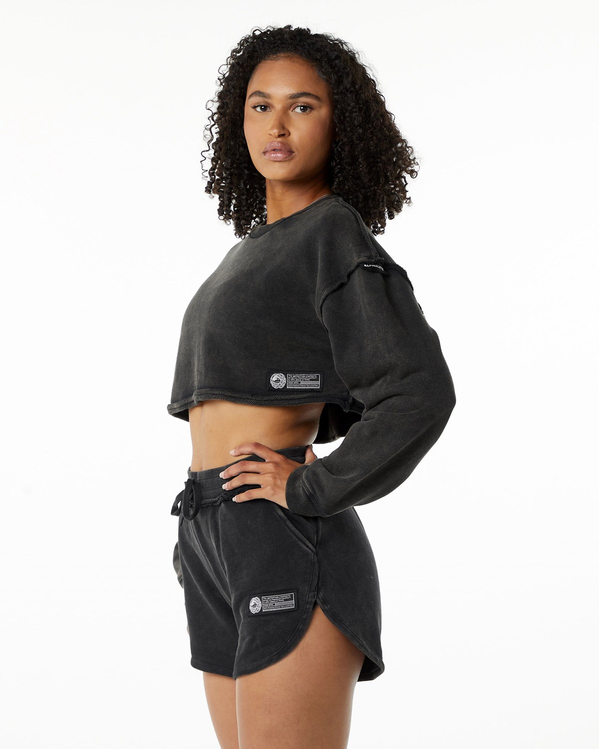 Alphalete Heavyweight Washed Terry Crop Pullover Onyx | 68972-XDBS