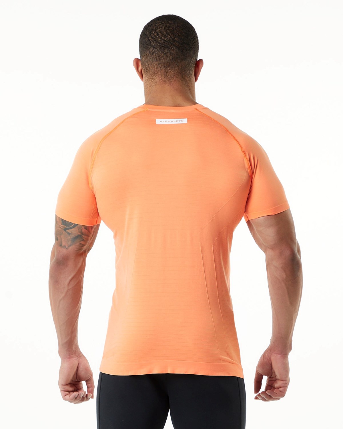 Alphalete High Performance Seamless Krótkie Sleeve Tee Faded Day Tripper | 49513-YFGH