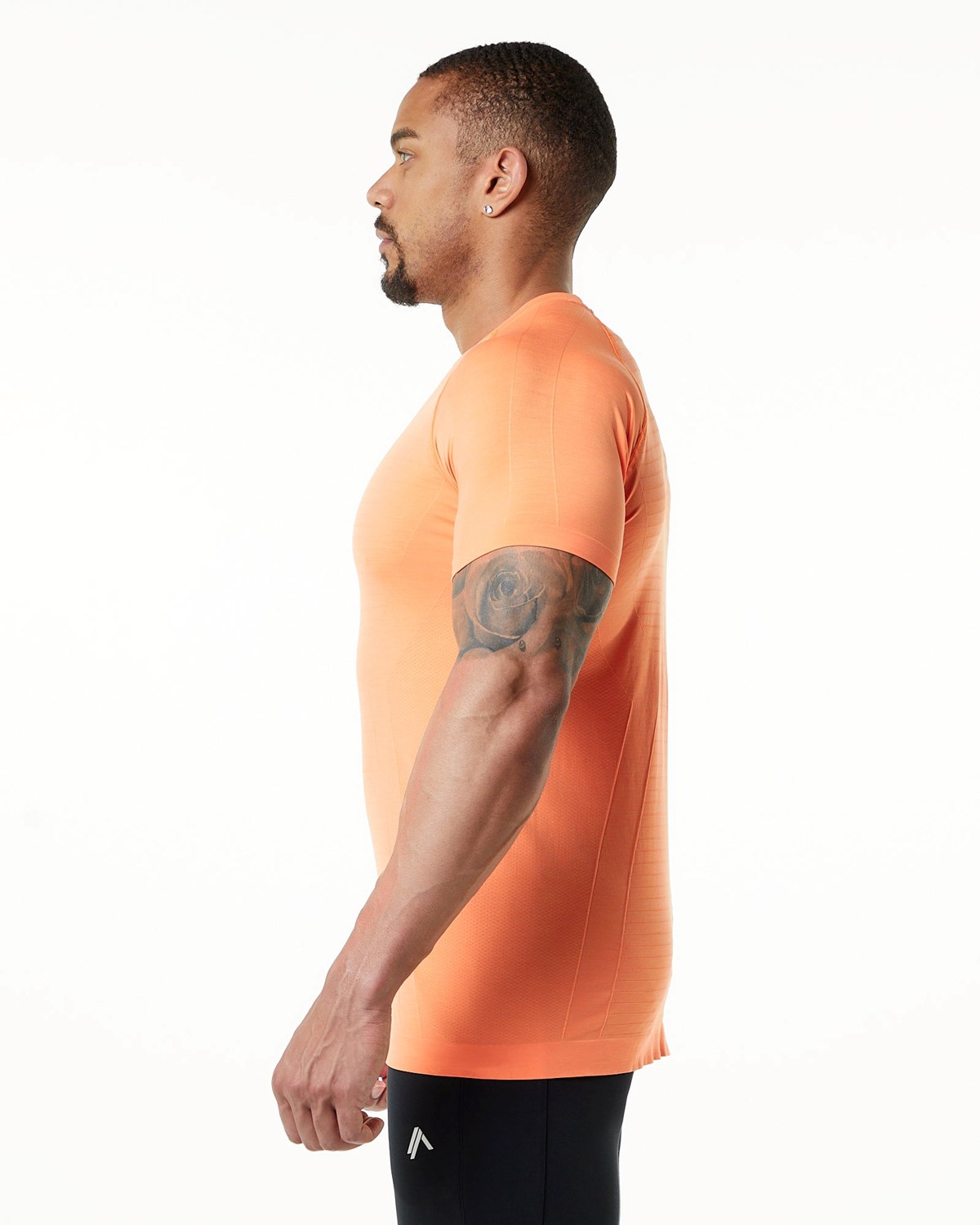 Alphalete High Performance Seamless Krótkie Sleeve Tee Faded Day Tripper | 49513-YFGH